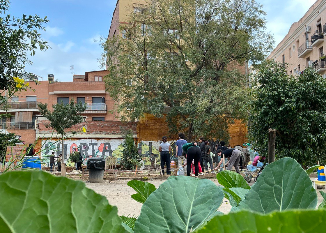 Foto de grup de persones treballant a l'horta.