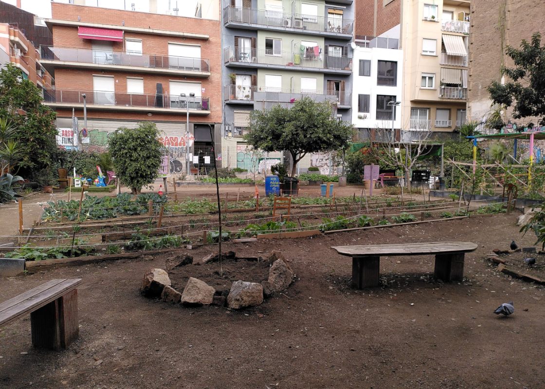 Foto dels bancs, arbres i bancals.